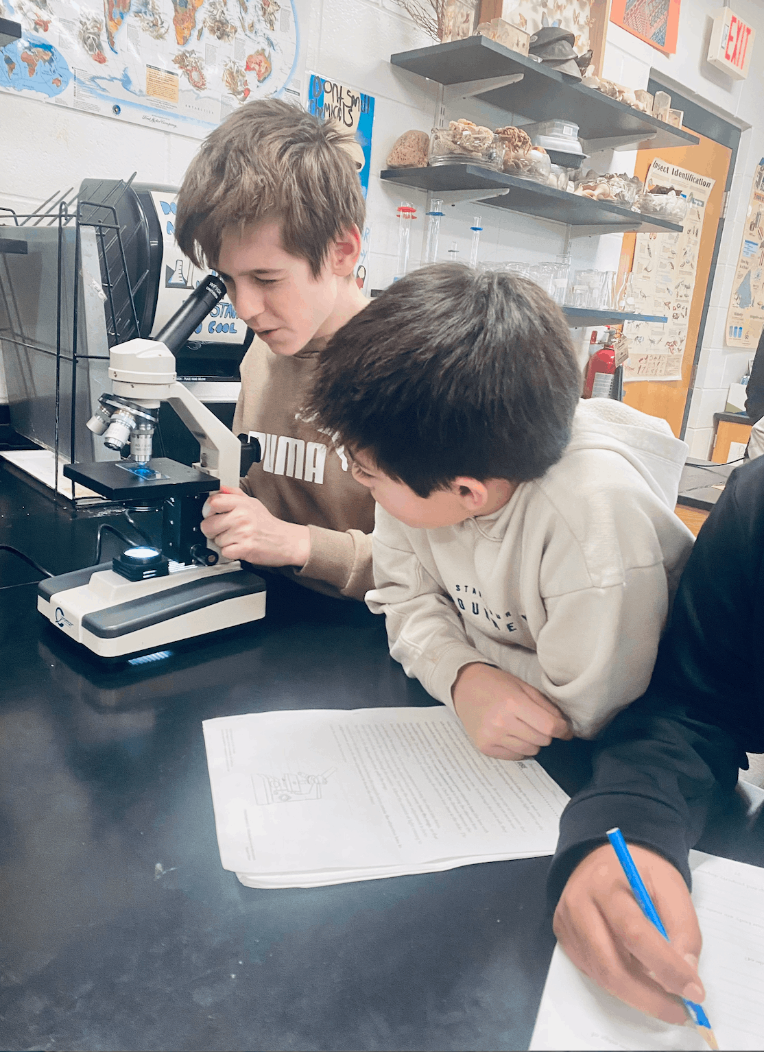 Microscope